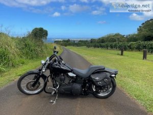 2007 Harley Davidson Softtail Night train