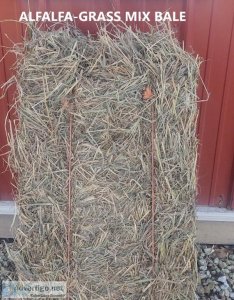 Small Squares Hay FOR SALE