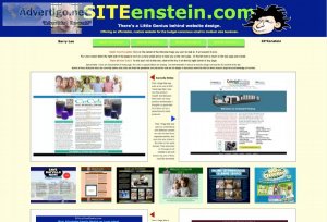 IT&rsquoS NOT EXPENSIVE TO GET A PROFESSIONAL WEBSITE BUILT FOR 