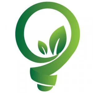 Marketplace for eco friendly products online india