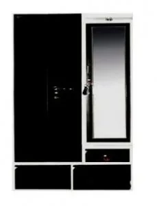 Iron Almirah in India  Best Prices