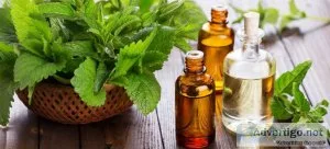 Mentha piperita oil manufacturers