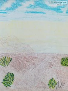 Desert and Prairie