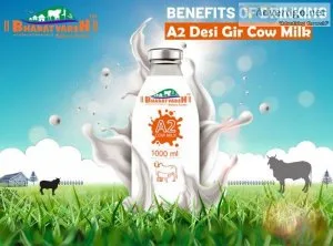 Bharatvarsh Nature Farms in Umred Nagpur