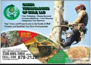 Tree Clearning and Removal and Land Clearing - FREE ESTIMATE