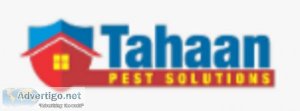 Best Termite Control Services in Mumbai