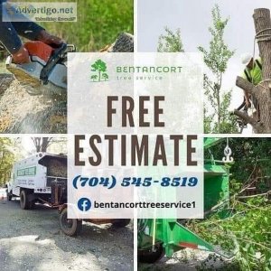 COMPLETE TREE SERVICE