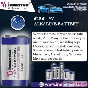 Buy advance lr6 alkaline battery for long life immense