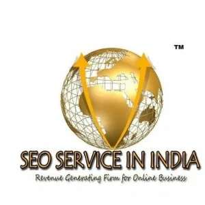 SEO Package Delhi