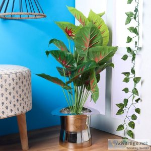 Get beautiful designs of planters at wooden street