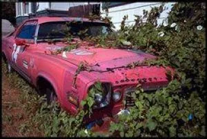 We buy junk cars Compramos Autos 