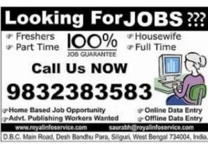 Online micro video ad entry job
