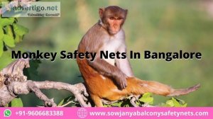 Monkey safety nets in bangalore
