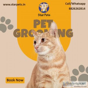 Pet Grooming in Gurugram