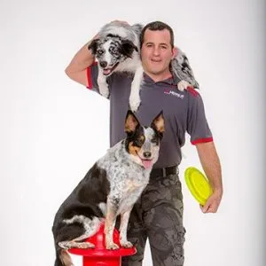 Sit Means Sit Dog Training of Stamford and Westchester