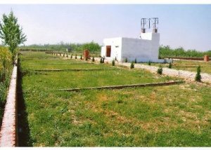 Plots in noida