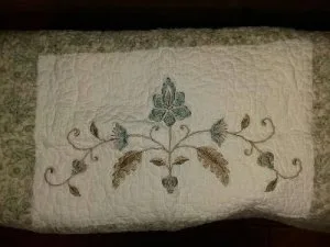 2 PILLOW SHAMS