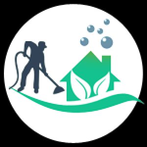 Carpet Clean Bellaire