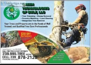 Tree Service - Remove Trim Grind Land Clearing - Free Estimates
