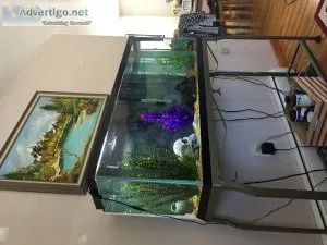 55gal tank and rod iron stand