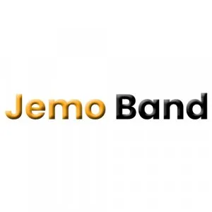 Wedding music bands