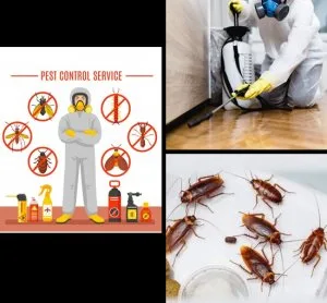 Free pest inspection - pest control services in noida - quality