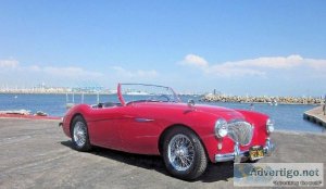 1954 - Austin Healey 1004