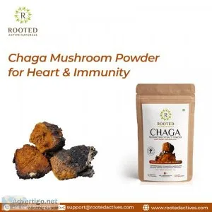 Chaga mushroom powder for heart & immunity