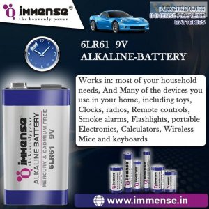 Buy lr6 battery in cheap price immense