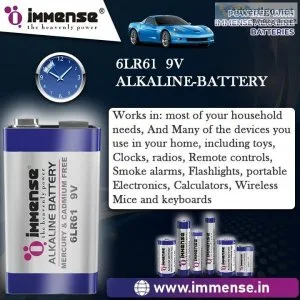 Buy lr6 battery in cheap price immense