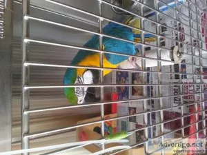 MacawsParrotshop