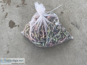 (3) UNUSED 20  GRADE 70 TRANSPORT CHAI