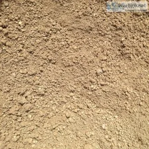 Horse turnout sand