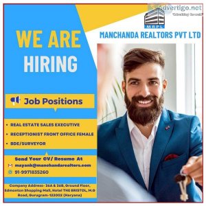 Real Estate Sales Executive Job