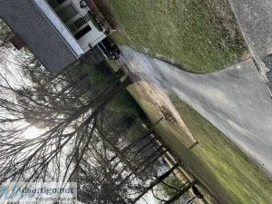 Settleforless lawncare service