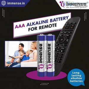 Buy aaa alkaline battery for toys immense