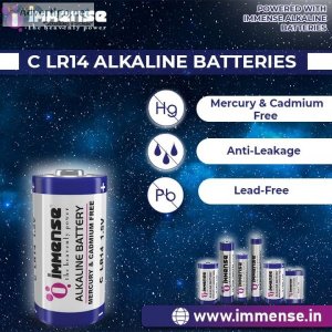 High performance c battery in low price immense power