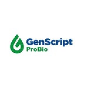 Lentivirus manufacturing services