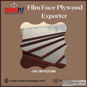 Film faced plywood exporter | bigwig ply