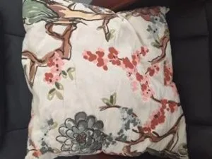 Throw Pillow