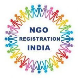 Ngo consultancy