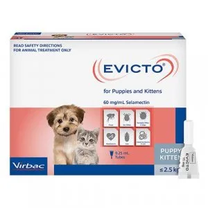 Buy Evicto For Dogs and Cats Online  DiscountPetCare