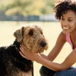 Find The Best Pet Delivery Service- Bailey s Best Care Pet Trans
