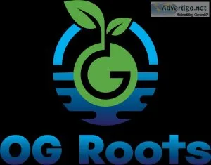 Buy hydroponic vegetables
