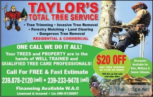 Residential and Commercial Tree Removal-Land Clearing-Forestry M