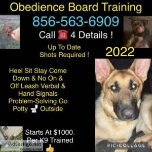 K9?s obedience more