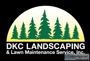 Tree stump grinding services