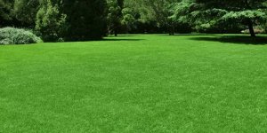 The pros of using fake grass on your lawn