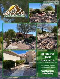 DoveMountainLandscap ing