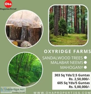 Farm lands for sale in hyderabad